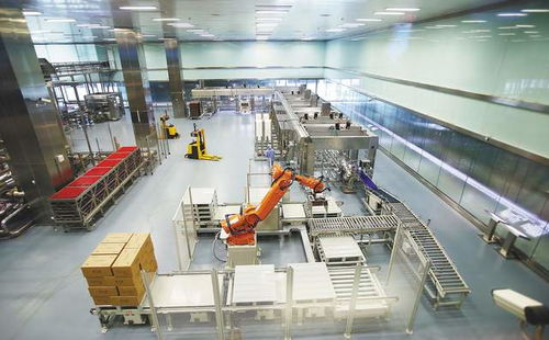 碧桂園跨界布局，機器人公司與智能工廠共繪智造新藍圖